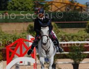 CHIMIRRI V TRAFFIC BOY CampITA2013- S5 0139 : CHIMIRRI VINCENZO, Campionati Italiani 2013, Cattolica, Horse Riviera Resort, TRAFFIC BOY, foto di Stefano Secchi ©